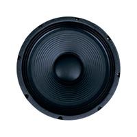 Bocina XSS PROFESSIONAL W3012 Negro/12"/700W RMS